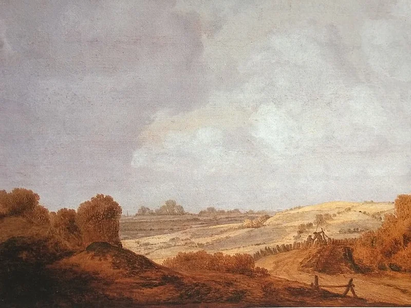 1617-Johannes Goedaert - Paesaggio dunale a Walcheren